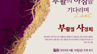 230329애진.png