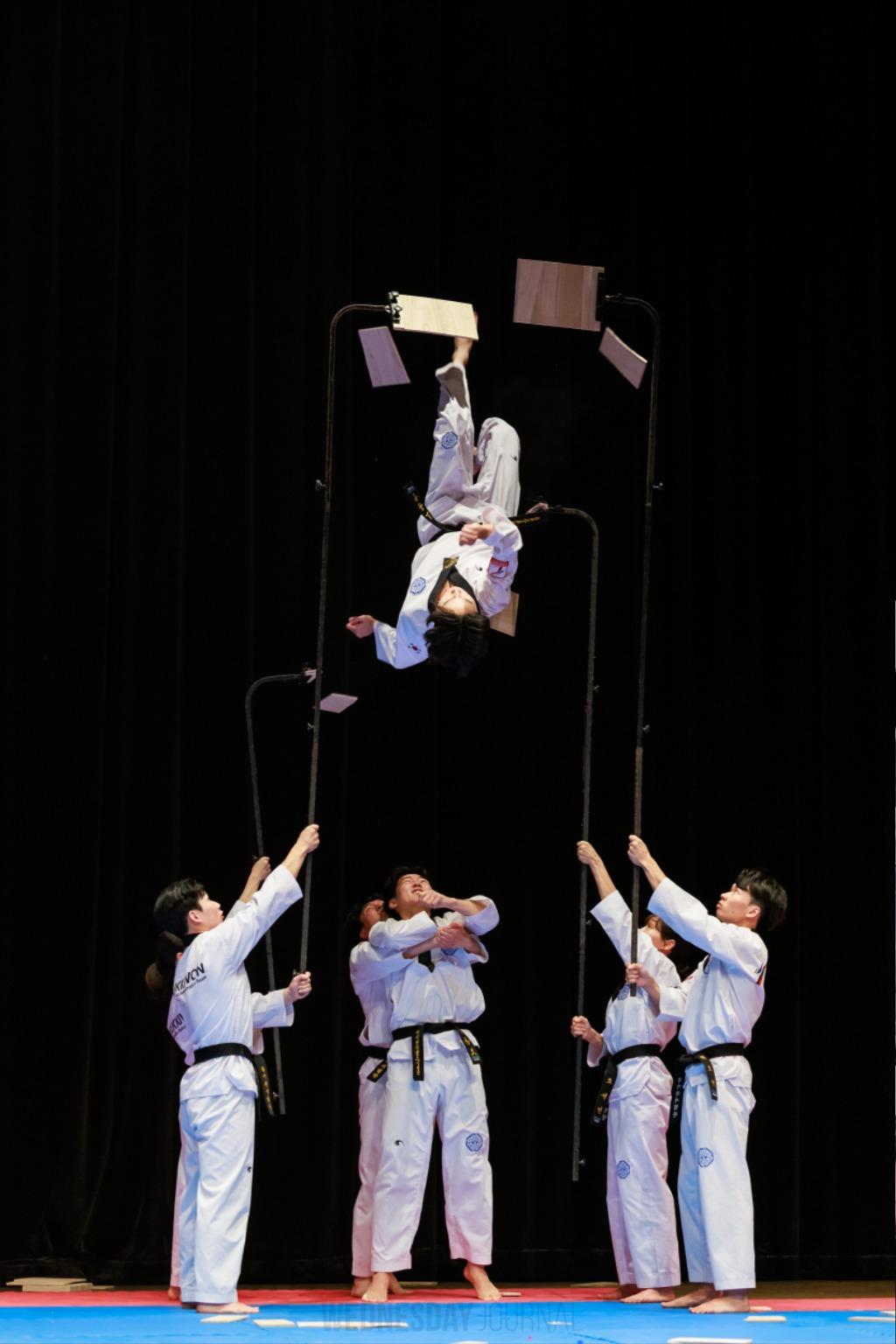 국기원 시범단 공연 모습2.jpg