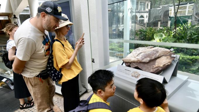 공룡뼈.jpg