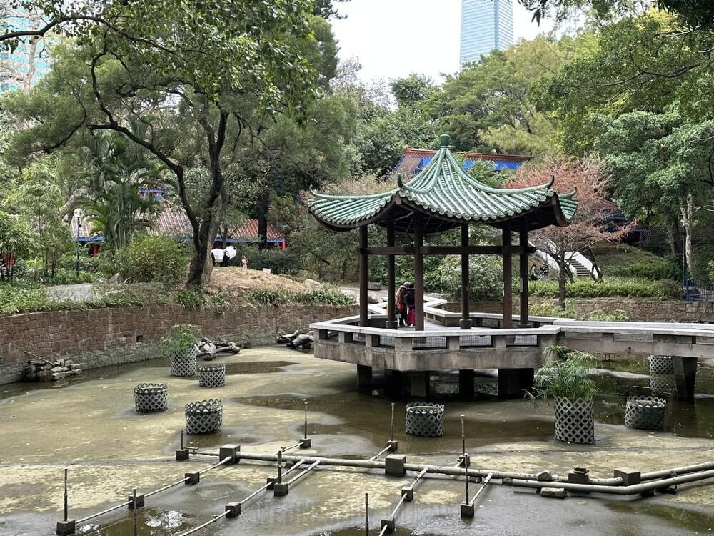 구룡공원 거북이.jpg