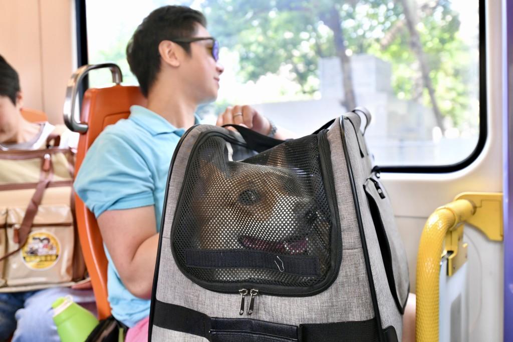 고양이 탑승 공식화.jpg