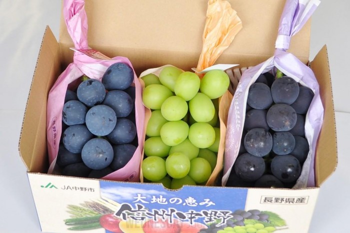 가짜 머스캣.jpg