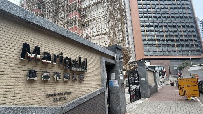 홍함 비계 그물.jpg