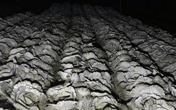 화면 캡처 2026-01-09 173603.jpg