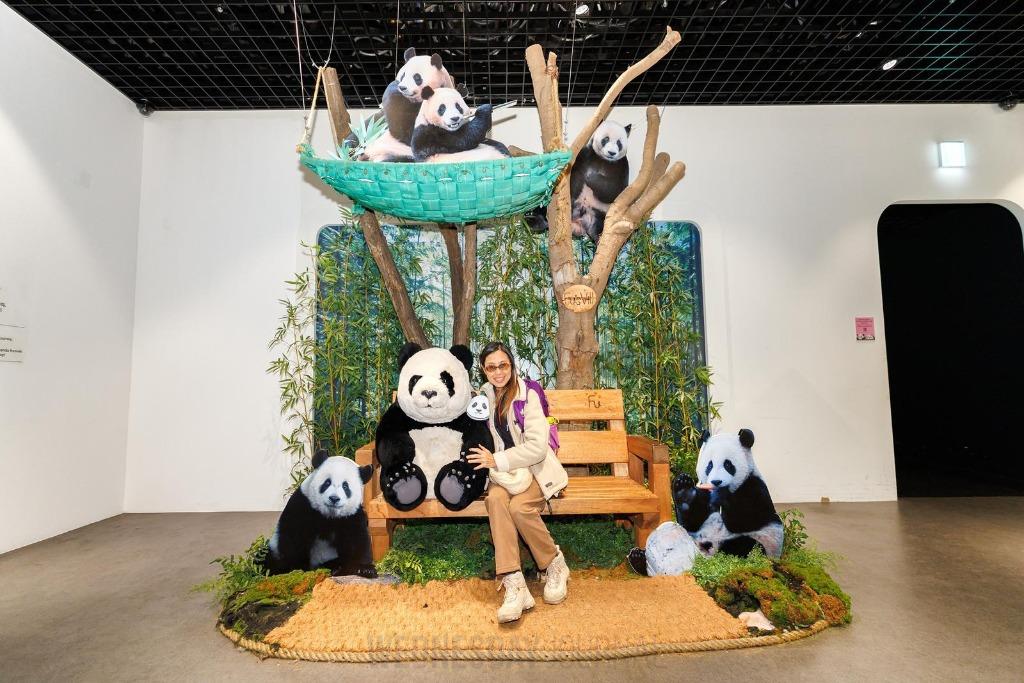 WhatsApp Image 2026-03-17 at 15.02.11.jpeg