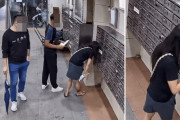 젓가락으로 우편물 쏙 기상천외한 