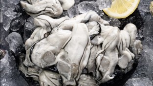 홍콩 식품안전센터, 한국 '서준물산' 생굴 수입 및 판매 전면 중단 지시