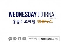 수요저널 땅콩뉴스 2024-11-11 (월)