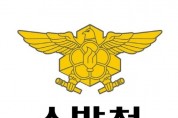 "해외에서 아파도 119가 도와드려요"