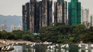 [홍콩뉴스] 왕푹코트 화재참사 진상조사 청원 주도 대학생 퇴학