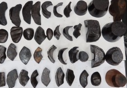 [홍콩뉴스] 7.7kg 코뿔소 뿔 밀수입한 60대 중국인 남성, 징역 2…