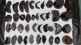 [홍콩뉴스] 7.7kg 코뿔소 뿔 밀수입한 60대 중국인 남성, 징역 24개월 선고