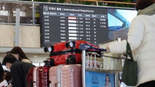 "내 짐 어딨어!" 공항직원 갈비뼈 부러뜨린 홍콩인 실형