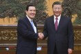 시진핑 만난 마잉주 "라이칭더, '하나의 중국' 인정하길"
