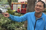 "파파"라고 외치는 앵무새, 팬링에서 주인과 재회
