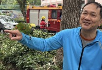 "파파"라고 외치는 앵무새, 팬링에서 주인과 재회