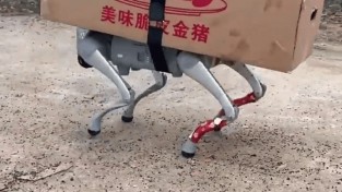 로봇개·드론으로 제사음식 운반…달라진 中청명절 성묘 '눈길'