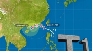수요저널 땅콩뉴스 2023-8-31 (목)