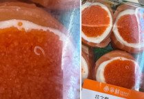 [홍콩뉴스] Sushi Express, 췬완점 꿈틀거리는 벌레 논란에 내부 조사 착수
