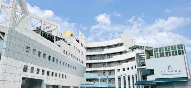 香港韓國國際學校（KIS）國際部 2026年畢業生升學亮眼