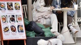 [홍콩뉴스] 홍콩 '반려견 동반 식당' 7월 본격 시작