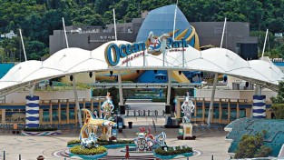 [홍콩여행] 오션파크, 3개월간 해외 방문객 20% 이상 증가