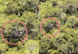 [홍콩뉴스] 정관오 ‘비밀의 화원’ 언덕, 광장무·가라오케 소음으로 주민…