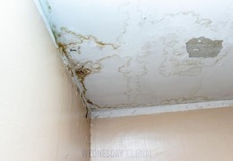 [홍콩뉴스] 홍콩 정부, 누수비용 17,000홍콩달러 청구하는 강력 조치…