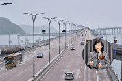 [홍콩뉴스] "홍콩행 번호판 더 푼다" 대기자만 수천 명, 광둥성 차량 진입 제한 획기적 확대