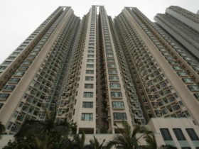 [홍콩뉴스] 두 살·세 살 형제를 개장에 가둔 인도네시아 가정부 체포