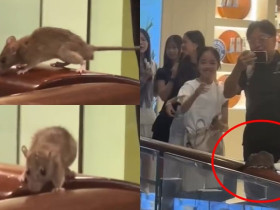 [홍콩뉴스] 몽콕 랑함플레이스 쇼핑몰, 쥐 출몰로 법적 통지서 받아… 8월 6일까지 미해결 시 형사 고발